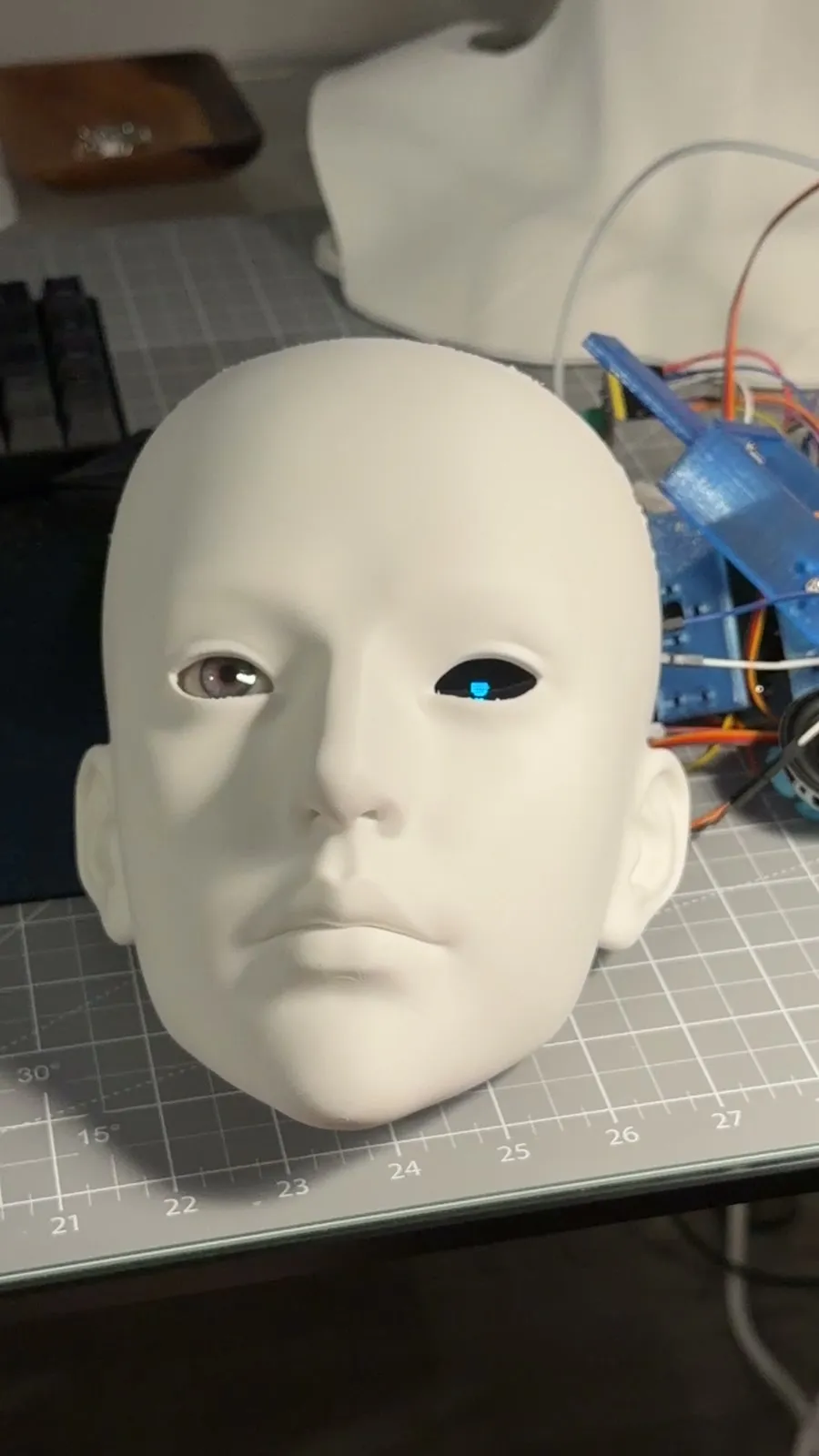 Lilyput 机器人眼睛显示效果测试视频