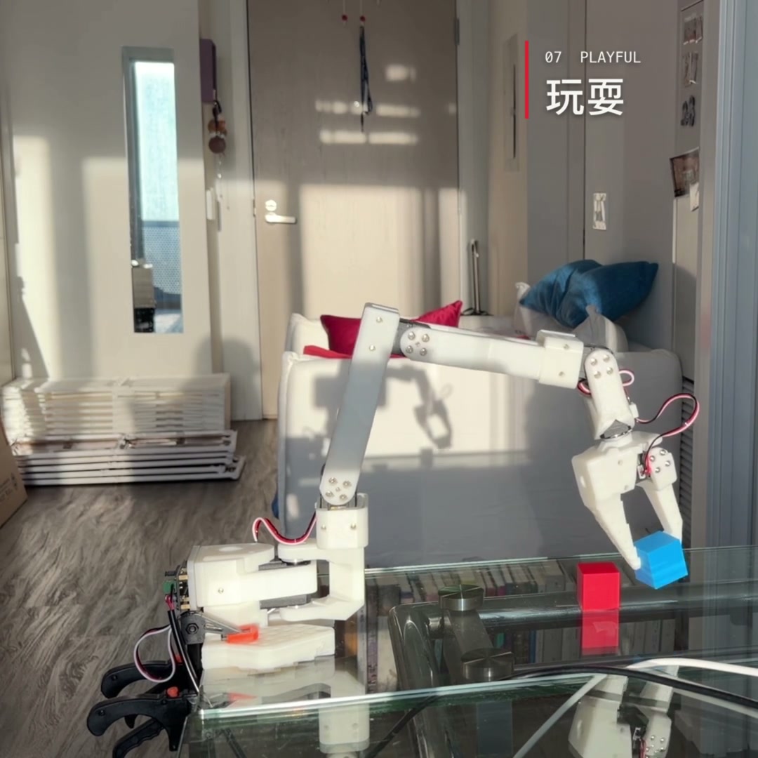 玩耍动作实拍